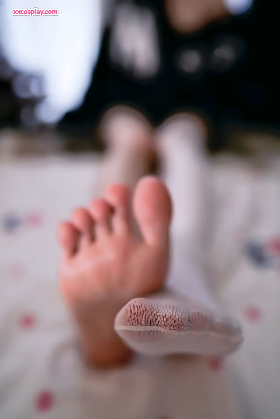 Yingtao Miao: Fluffy Maine Coon Catgirl